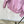 Prada 25 Zippered Collar Jacket Pink Cotton 311514