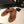FLAT THONG IN BRONZE BROWN CALFSKIN