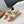 CD Dioract Sandal Beige Suede Wool 529373