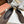 LP Floaty Flat Earth Brown Suede 989981