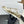 CC 25 Sneaker Gold Sheepskin Mesh 338281