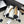 CC Logo Bow with Camellia Ballerina Flats Black White Cowhide Sheepskin 427021
