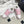 LV Trainer Sneaker White Pink Cowhide 611151