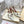 VT Studdy Kidskin Pumps 60mm White Goatskin 611369