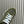 BOUNCING SNEAKERS OLIVE CALFSKIN