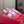 Upvillage Trainer In Dark Pink Mix Pink Suede With Laminated Calfskin 992729