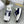 CD B24 SNEAKER IVORY AND NAVY FABRIC