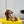 FENDI HIGH-HEELED 10 CM IN SANGRIA RED GLOSSY LAMBSKIN WITH GOLD HARDWARE