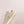 PRA DOWNTOWN PERFORATED SNEAKERS BEIGE SUEDE