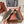 LP Summer Charms Walk Loafers Coffee Suede 565863