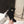 Celine Garance Triomphe Strap Boot 60mm Black Suede