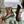 CD Ankle Boot Glossy Brown Calfskin