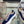 CC Sneaker Dark Blue Canvas 203265