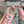 CC Sneaker Pink Canvas 203269