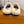 LV Cosy Flat Slippers Comfort Clog Beige Leather  Monogram Fur 533469