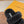 LV Sunset Flat Comfort Mule Black Wool