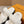 LV Sunset Flat Comfort Mule White Wool