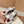 Golden Goose 2025 Sneaker White Red Cowhide 428308