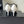 CC 26s Matthieu Blazy Pump 9.5cm White Sheepskin 807484