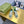 GG TENNIS 1977 TRAINER FERN CANVAS