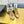 CC SNEAKER IN GOLD CALFSKIN AND SUEDE
