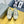 SKETCH SNEAKERS IN BEIGE CANVAS