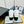 CC Low Sneaker White Wool Cowhide413858