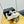 CC Velcro Strap Sneaker Black White Sheepskin 832627