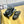 CC Loafers Mule Black Sheepskin 238488