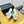 CC 25 Mid Heel Mules White Sheepskin 238475