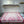 CD 26s Toile de Jouy Floral Garden Scarf 200*100cm Cashmere 215655