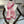 CD 26s Toile de Jouy Floral Garden Scarf 200*100cm Cashmere 215655
