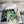 CD 26s Dior Lily of the Valley Scarf 140x140cm Cashmere Silk 215660