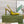 GG CRYSTAL HIGH HEEL SANDAL LEMON LAMBSKIN