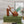 GG Sandales Cuir Noir Orange Ginger