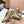 Miu TYRE Sneakers Brown Suede Technical Fabric 456327