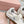 Miu Tyre Ballerina Shoes White Suede Fabric 456343