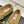 Alaia Women's Ballet Flat Avocado Green Suede 293223