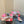 DC Rhinestones Keira Mules Muticolor Denim & Sheepskin 921015