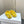 DC Polka-Dot Ballet Flats Yellow White Sheepskin & Silk 999236