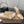 CL Diamond Sandals 10.5cm Champagne Silk 299880