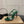 CL Diamond Sandals 10.5cm Green Silk 299881