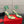 RC Sandals 9.5cm Green Imported Metal Sheepskin 302601