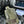 LOE MINI 18 CAMERA CROSS BODY BAG IN OLIVE GREEN CALFSKIN