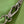 capucines mm 31.5 green taurillon leather turquoise silver hardware