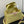 capucines mm 31.5 yellow taurillon leather gold hardware