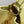 CAPUCINES BB 27 YELLOW TAURILLON GOLD HARDWARE