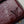 cluny mini 20cm bordeaux epi calfskin
