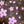 LV x TM OnTheGo PM 25cm Sakura Brown Cherry Blossom Monogram Canvas