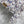 CD Jacket White Cotton Denim with Multicolor